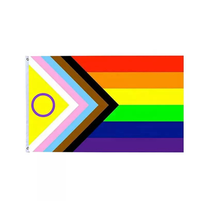 デジタル印刷レインボー LGBT フラグ 3x5Ft 100D ポリエステル プログレス フラグ