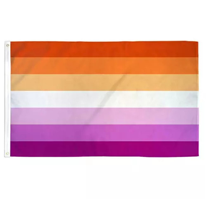 デジタル印刷レインボー LGBT フラグ 3x5Ft 100D ポリエステル プログレス フラグ