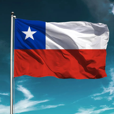 注文のチリの国旗3X5ft 100%ポリエステルCMYKデジタル印刷